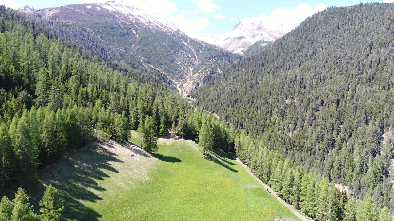 Hotel Sonnenhalde Wiesen Eksteriør bilde